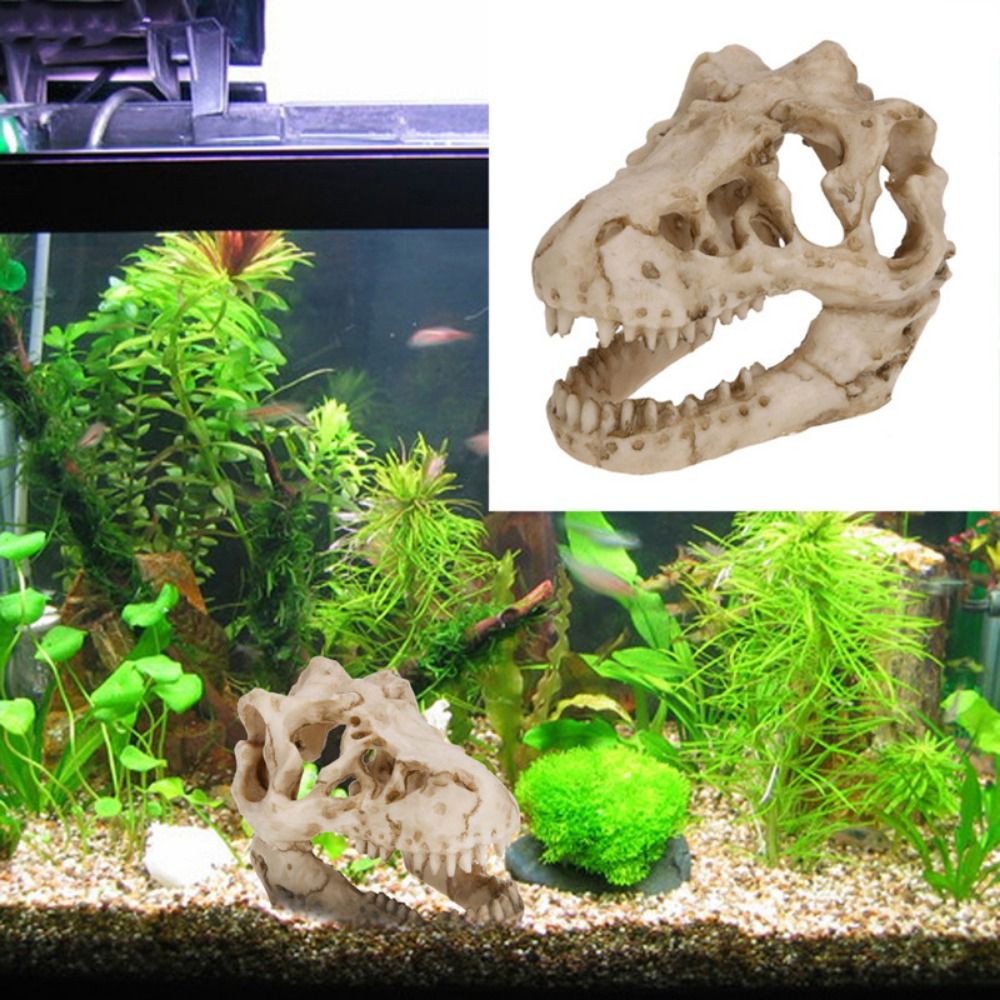 Aquarium Fish Escape - Creative Simulation Dinosaur Skull Escape House