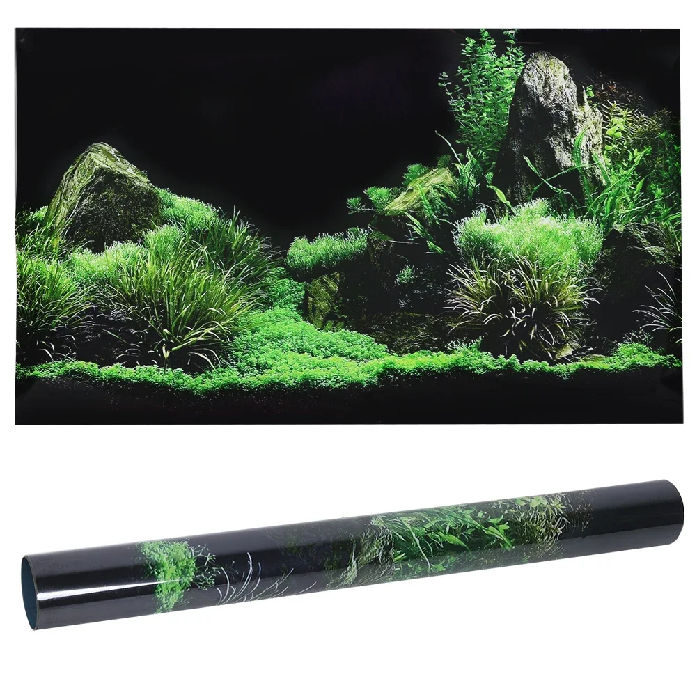 Aquarium Fish Cartoon - Background for Aquarium 3d Sticker Poster