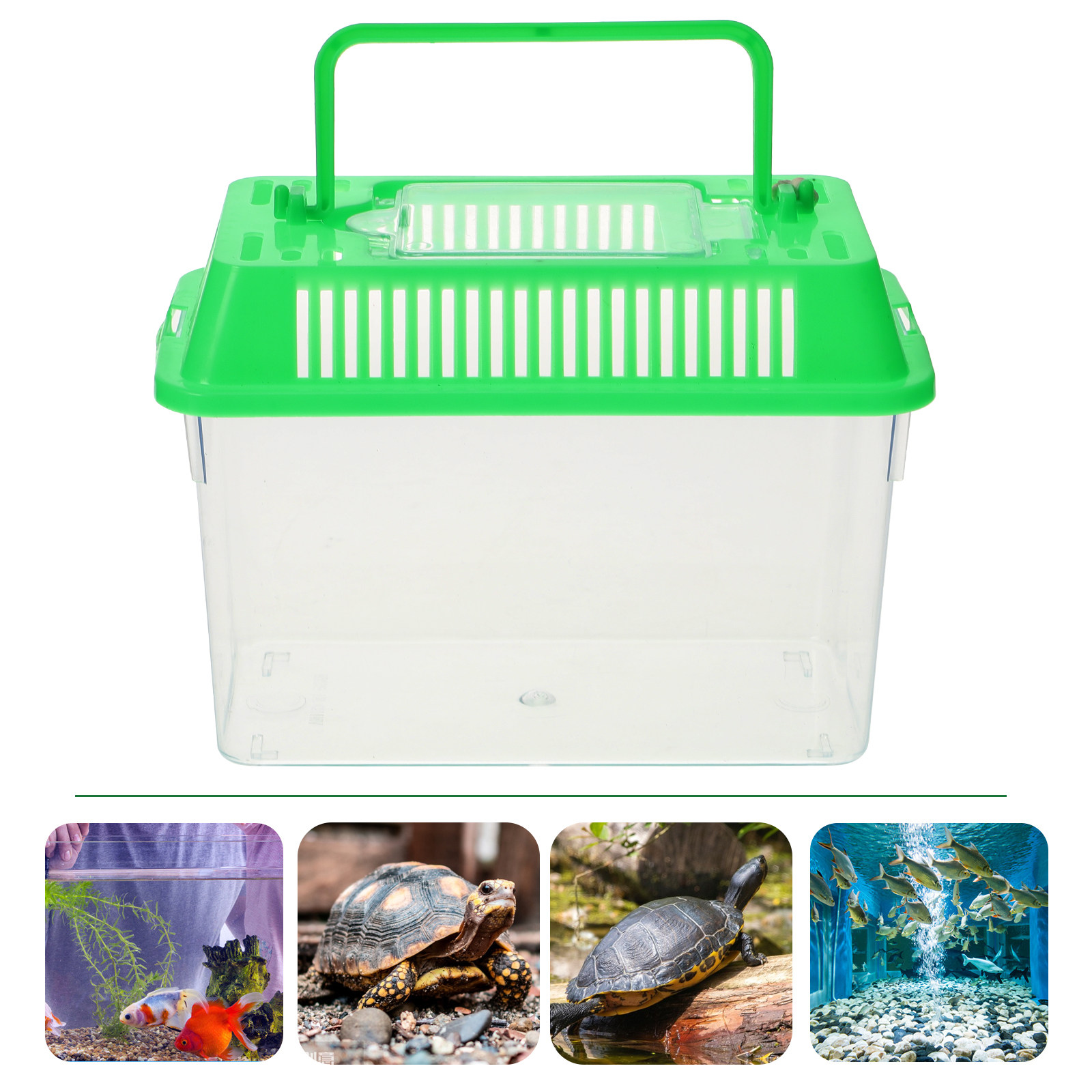 Aquarium Fish Goldfish - Plastic Handheld Mini Fish Tank Portable