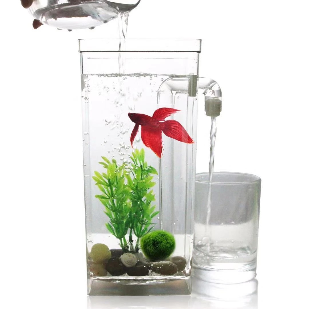 Aquarium Fish Goldfish - Lazy Free Water Change Desktop Fish