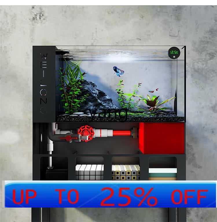 Aquarium Fish Goldfish - Lhh living room small fish tank