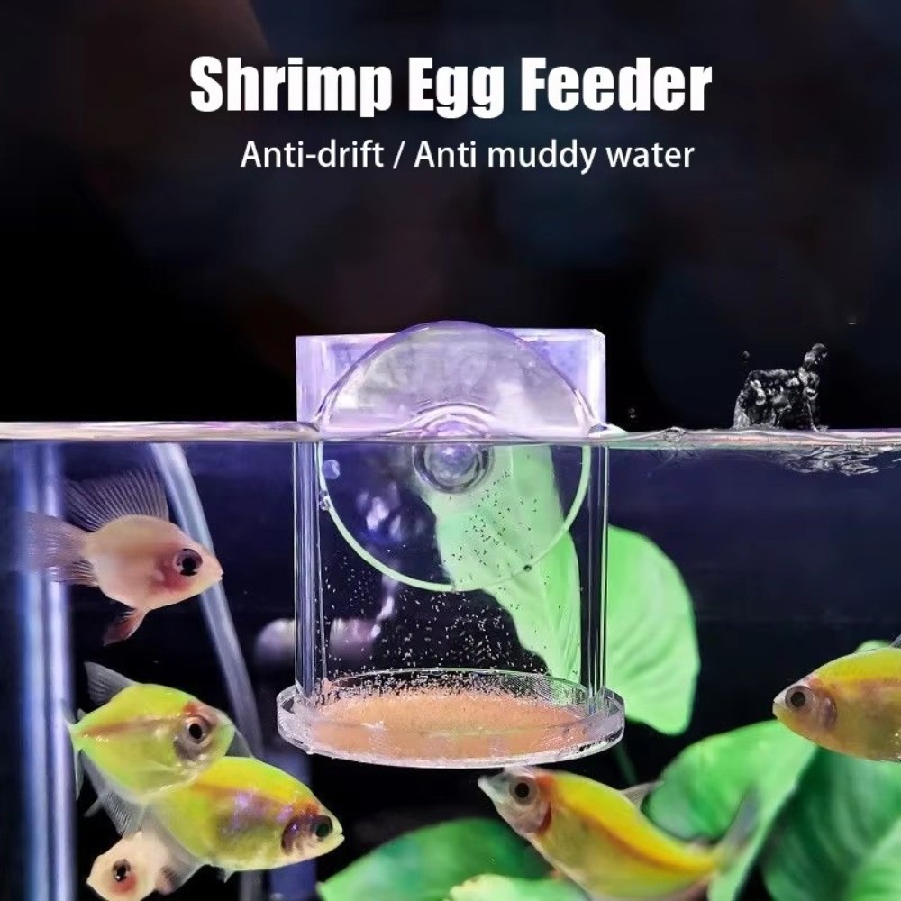 Aquarium Fish Feeder - Acrylic Brine Shrimp Feeder Fixed-Point with