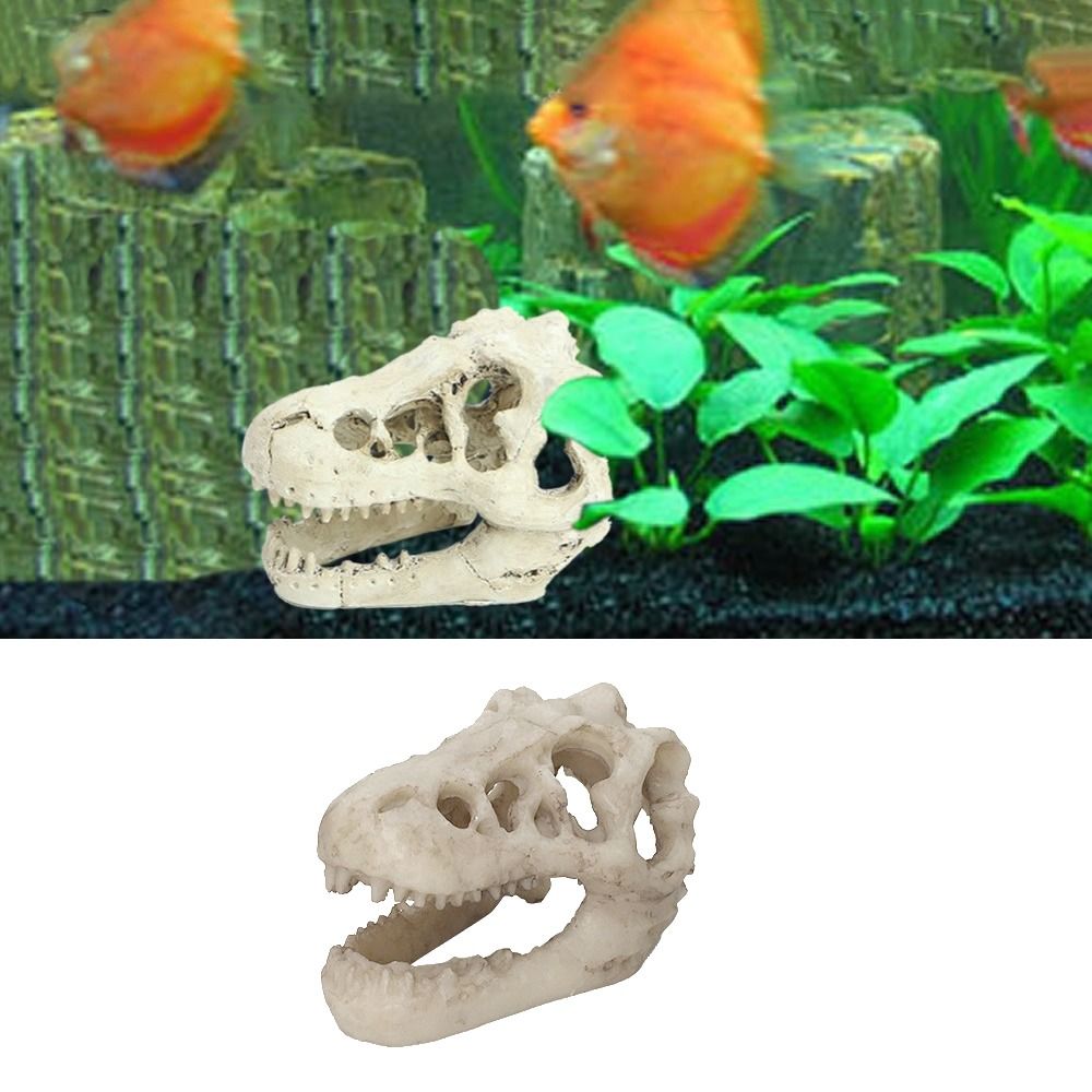 Creative Simulation Dinosaur S - Aquarium Fish Escape recension och pris