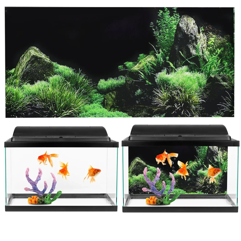 Background for Aquarium 3d Sti - Aquarium Fish Cartoon recension och pris