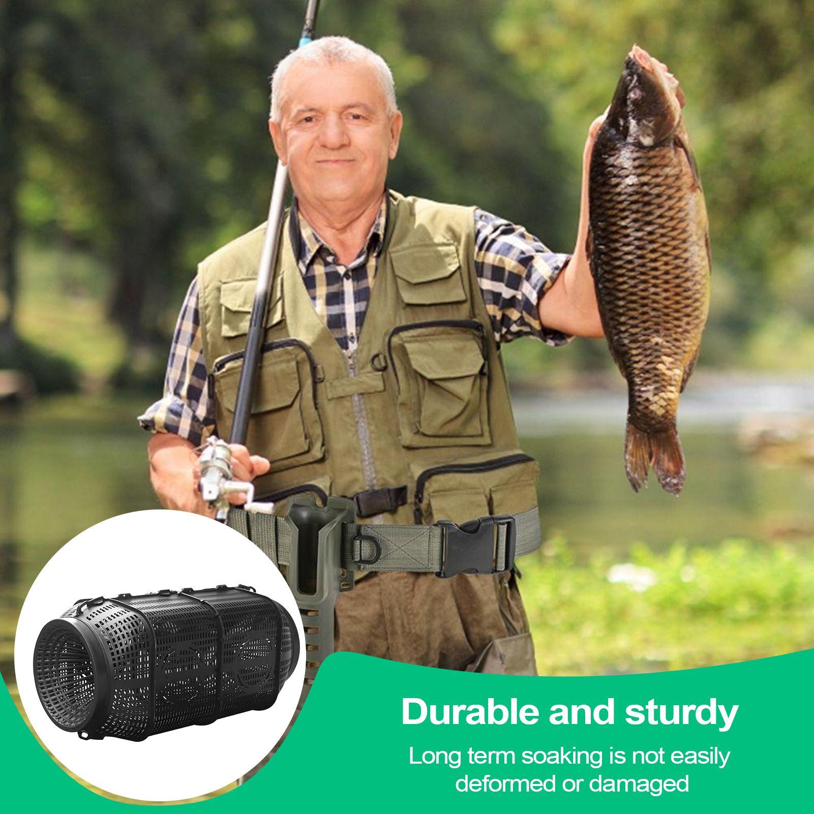Fish Trap Portable Minnow Trap - Aquarium Fish Escape recension och pris