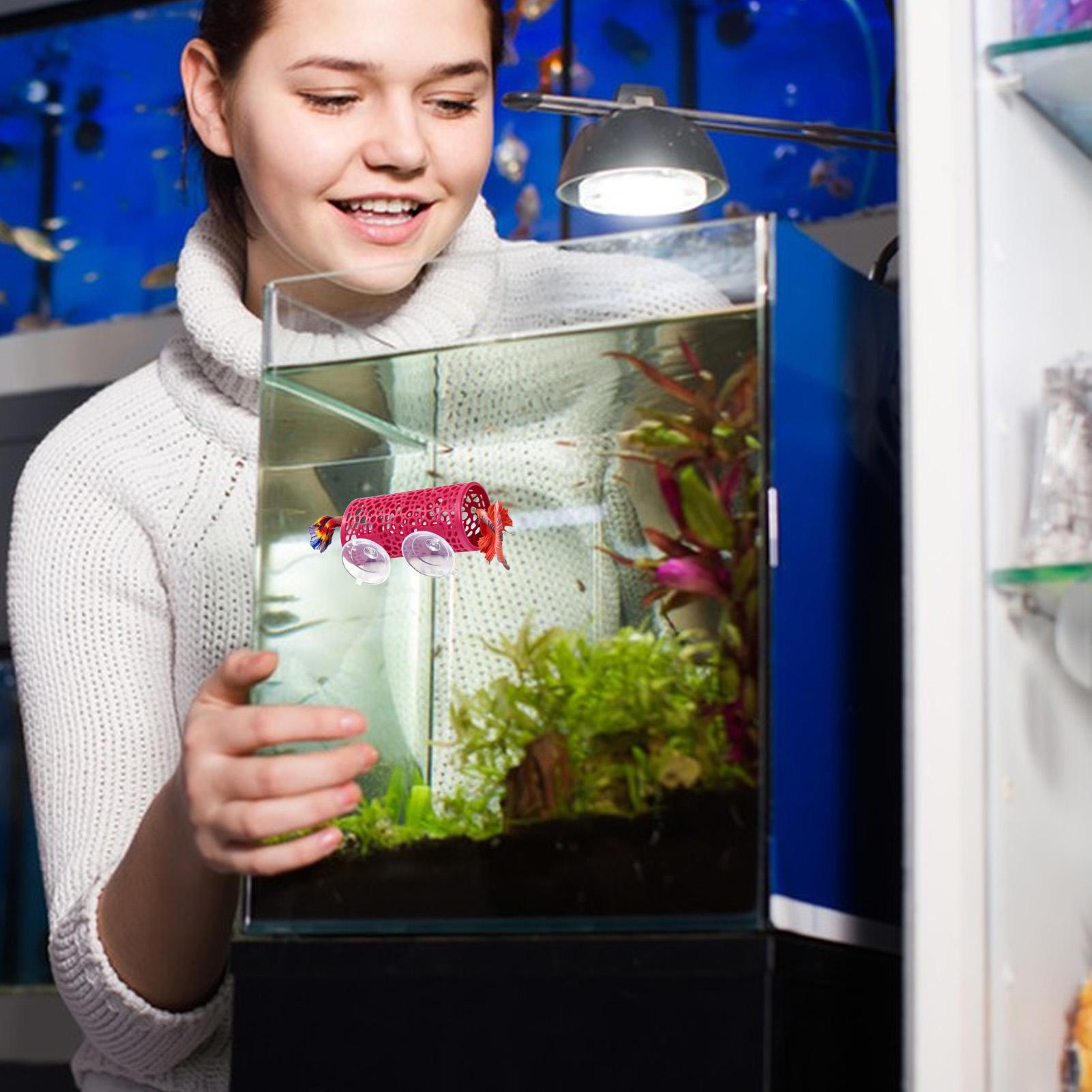 Betta Habitat Resting Shelter  - Fish Toy In Aquarium recension och pris