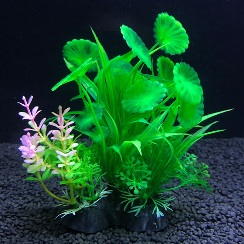 Aquarium decoration a variety  - Aquarium Fish Variety recension och pris