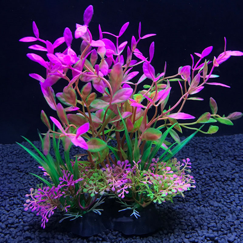 Aquarium decoration a variety  - Aquarium Fish Variety recension och pris