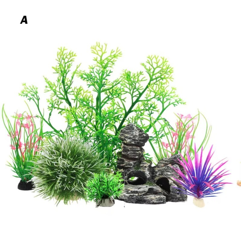 10pcs Hot Selling New Arrival  - Aquarium Fish Sale recension och pris