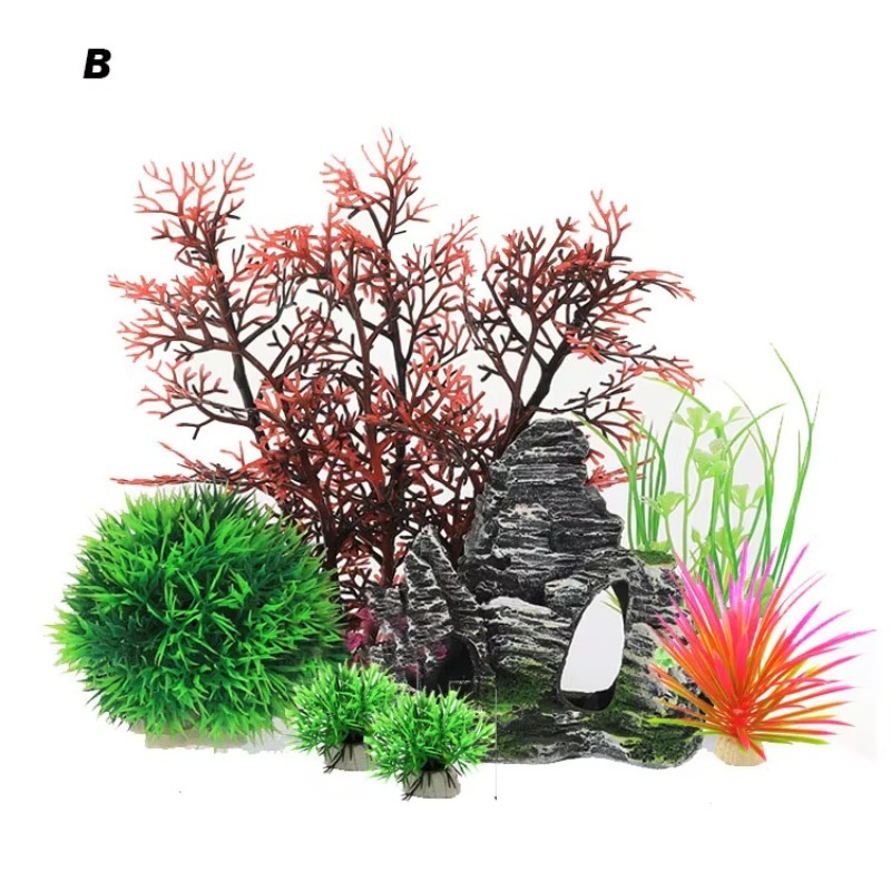10pcs Hot Selling New Arrival  - Aquarium Fish Sale recension och pris
