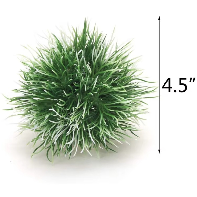 10pcs Hot Selling New Arrival  - Aquarium Fish Sale recension och pris
