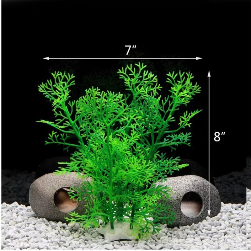10pcs Hot Selling New Arrival  - Aquarium Fish Sale recension och pris