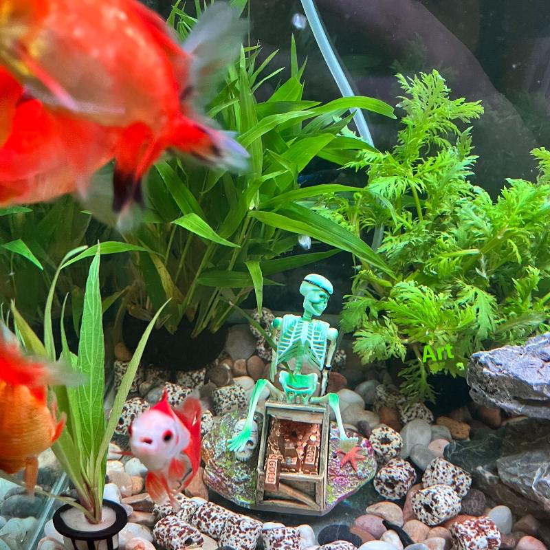 Fish Tank Aerobic Landscape Bu - Aquarium Fish Cartoon recension och pris