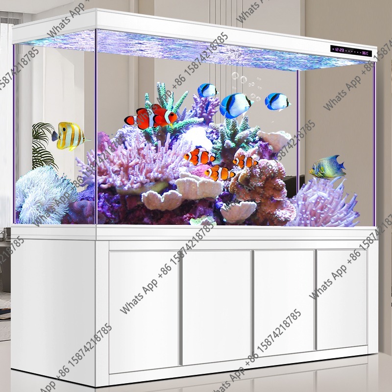 X Arowana Tank Ultra-white Gla - Xchange Aquarium Fish recension och pris