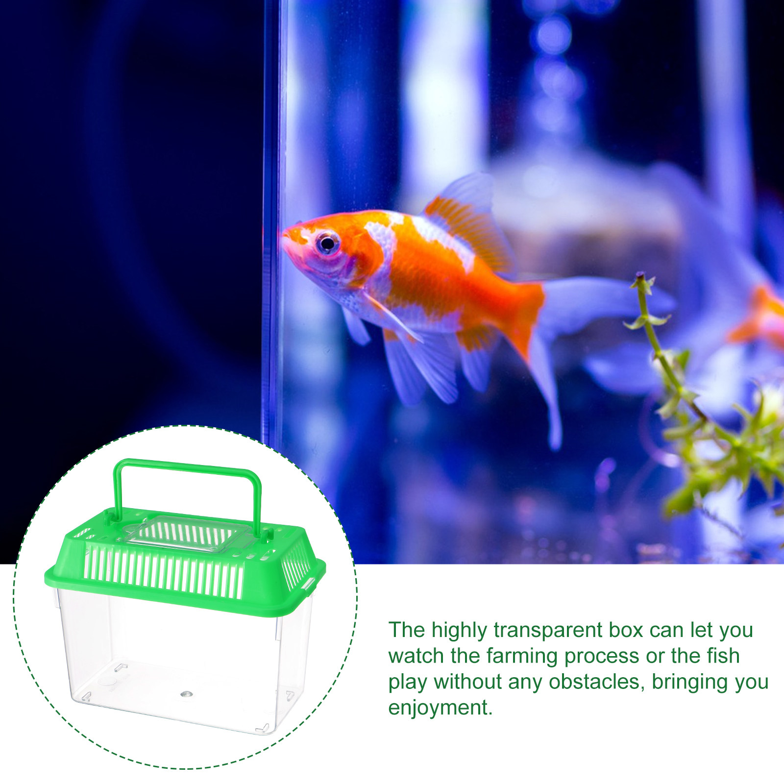 Plastic Handheld Mini Fish Tan - Aquarium Fish Goldfish recension och pris