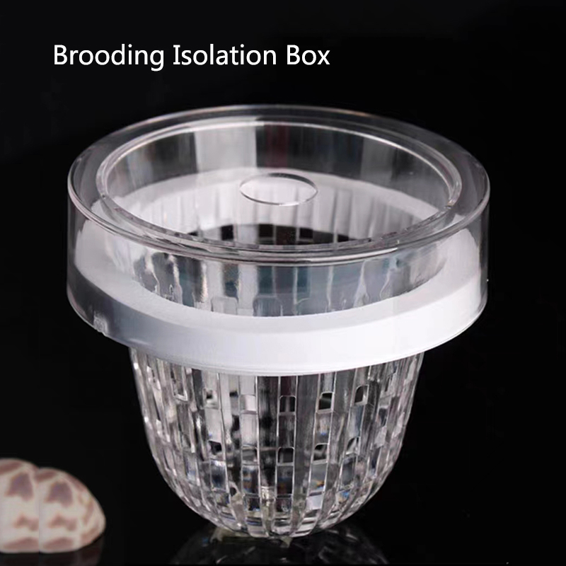 Acrylic Floating Fish Breeding - Aquarium Fish Feeder recension och pris