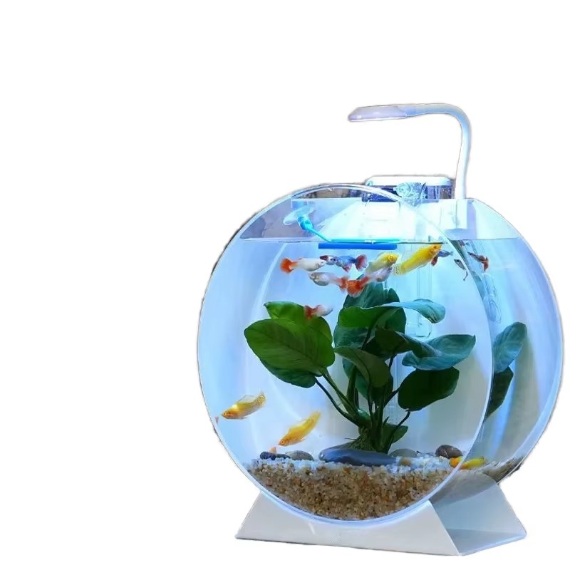 Hot Sale Modern Eco-Friendly A - Aquarium Fish Sale recension och pris