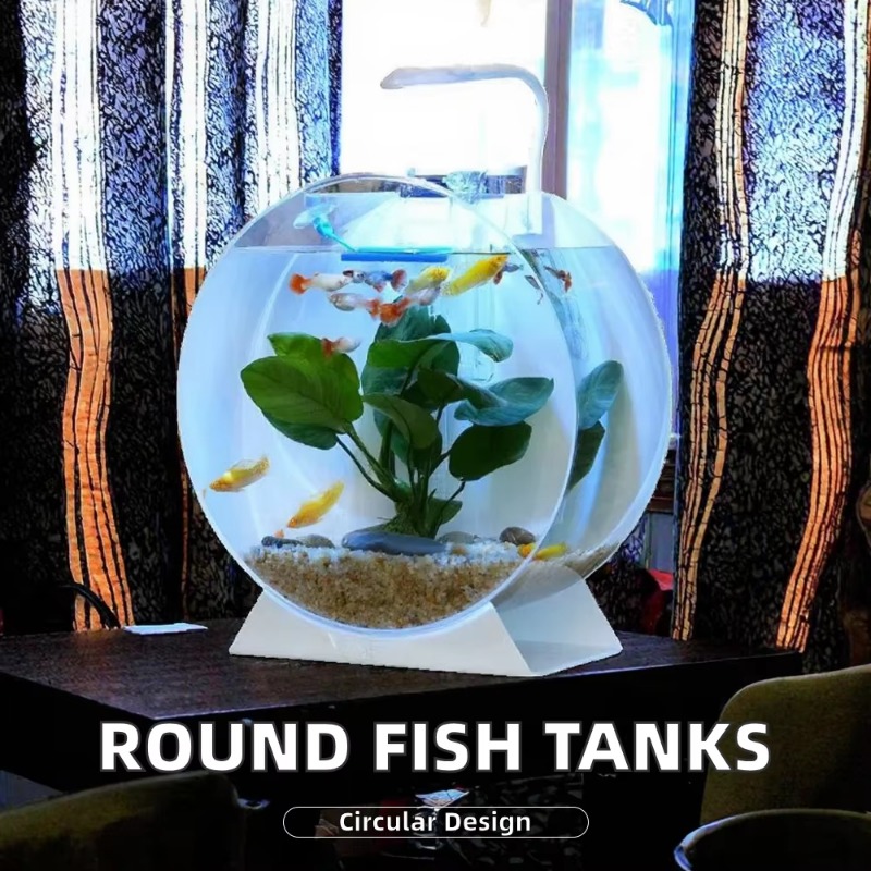 Hot Sale Modern Eco-Friendly A - Aquarium Fish Sale recension och pris