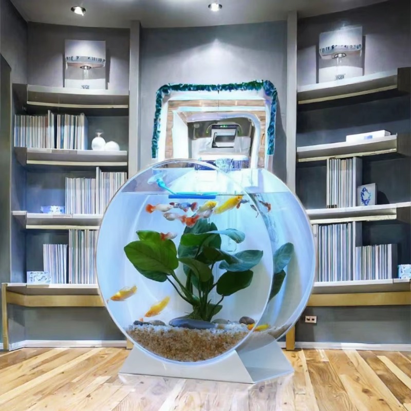 Hot Sale Modern Eco-Friendly A - Aquarium Fish Sale recension och pris