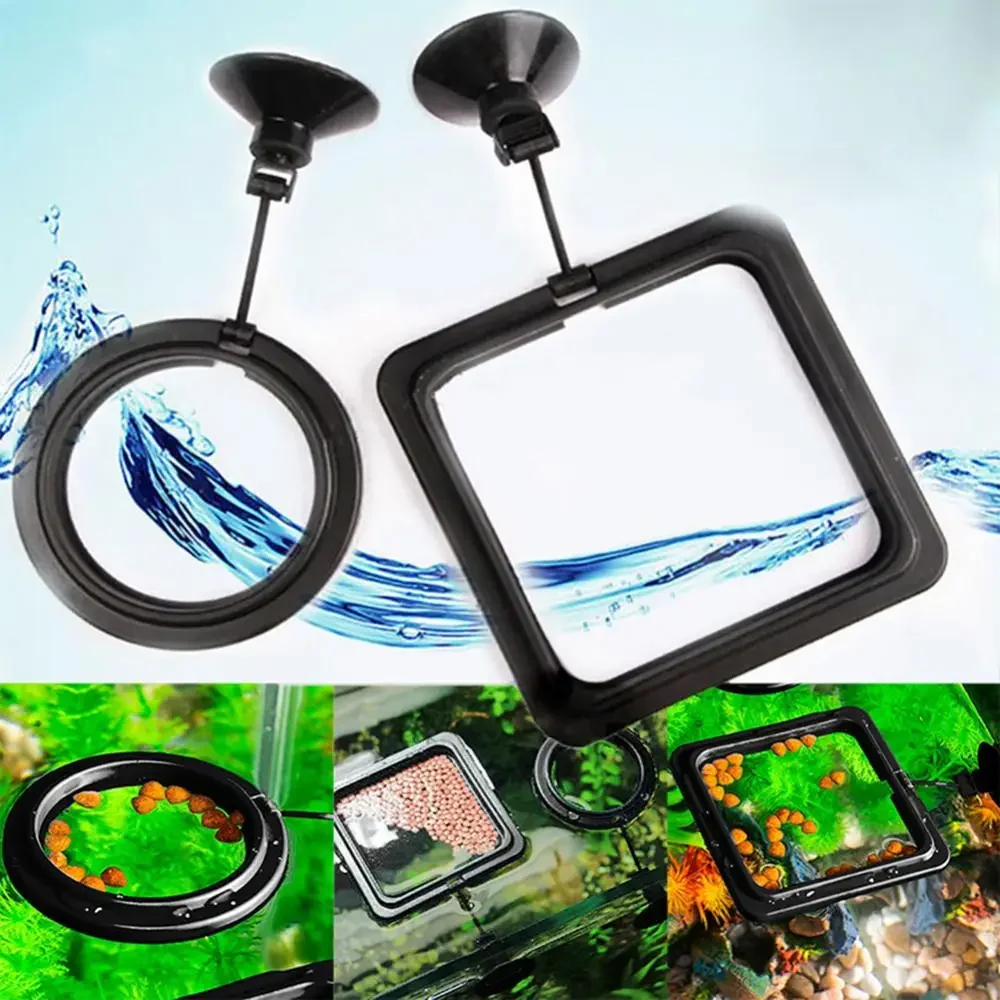 Feed Suction Cup Aquarium Feed - Aquarium Fish Feeder recension och pris