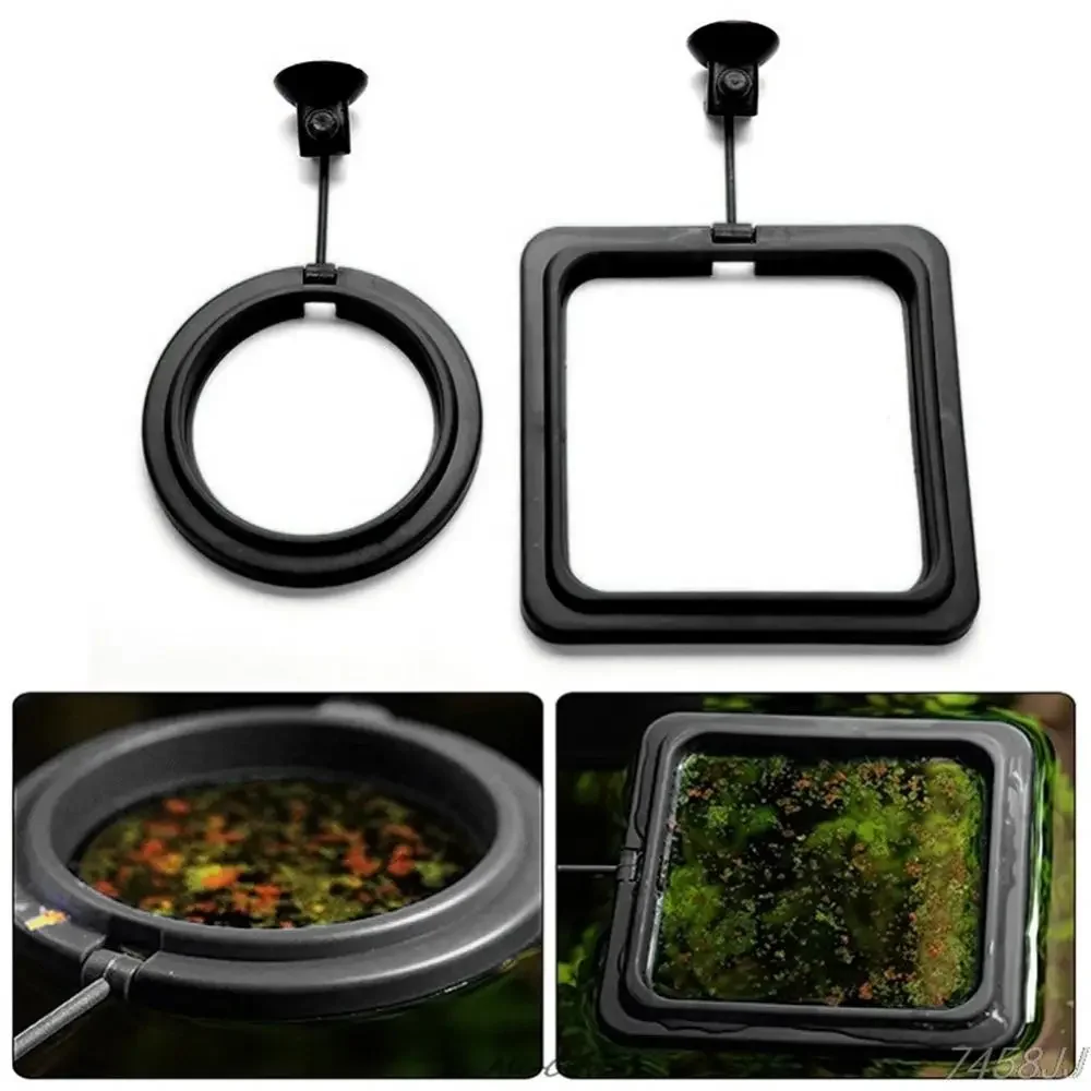 Feed Suction Cup Aquarium Feed - Aquarium Fish Feeder recension och pris