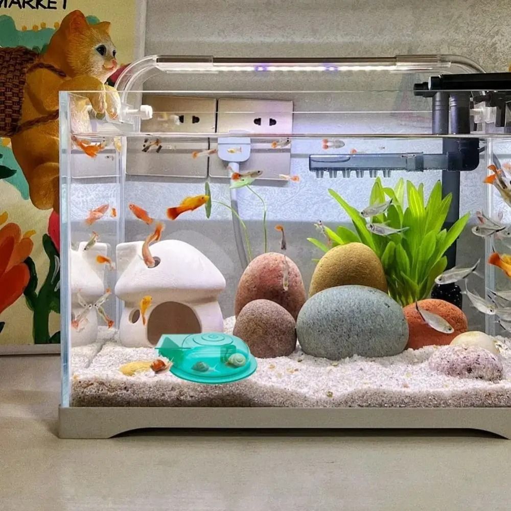 Freshwater Saltwater Aquarium  - Aquarium Fish Escape recension och pris