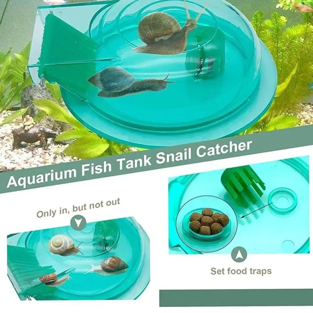 Freshwater Saltwater Aquarium  - Aquarium Fish Escape recension och pris