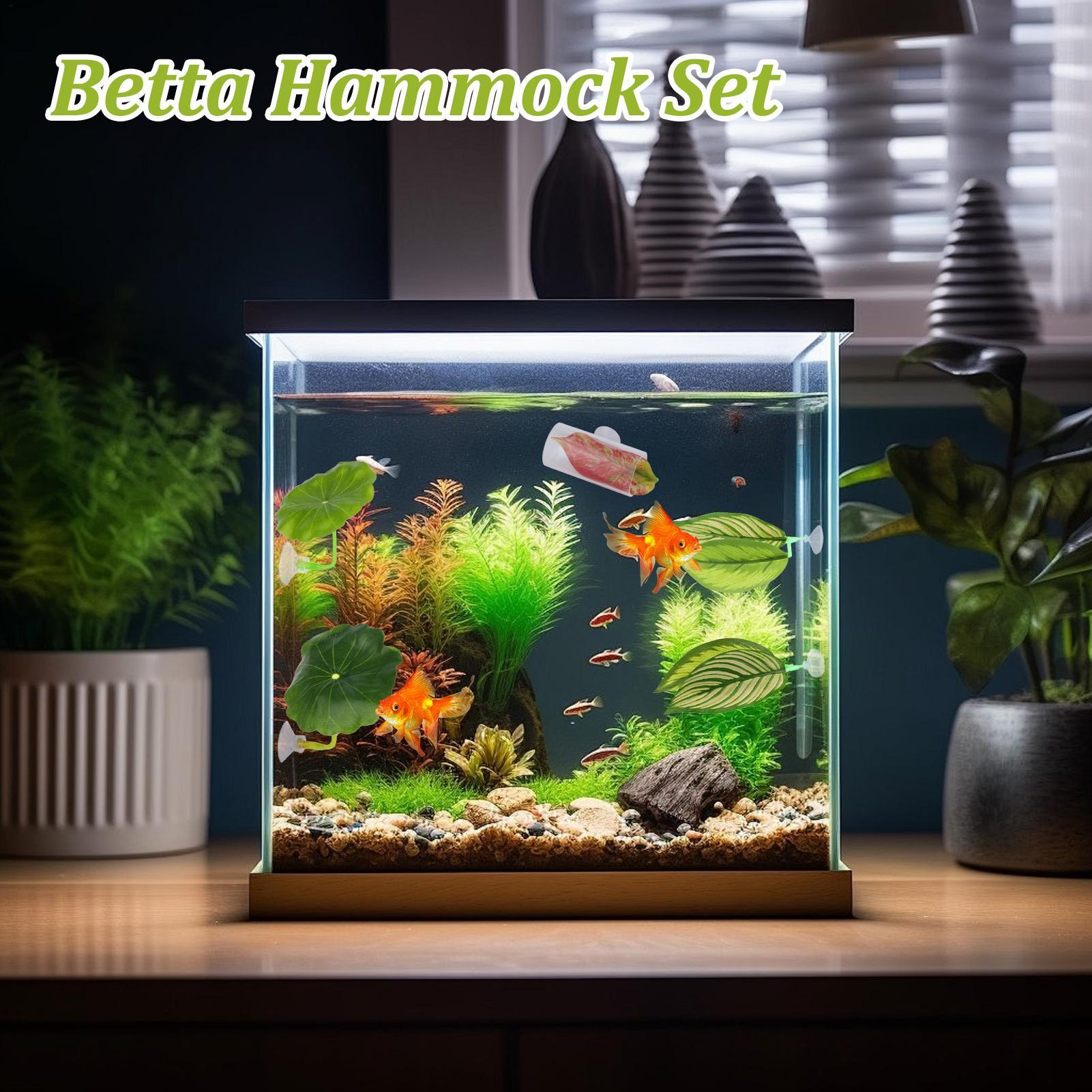Betta Fish Hammock 5 Pieces Ad - Fish Toy In Aquarium recension och pris