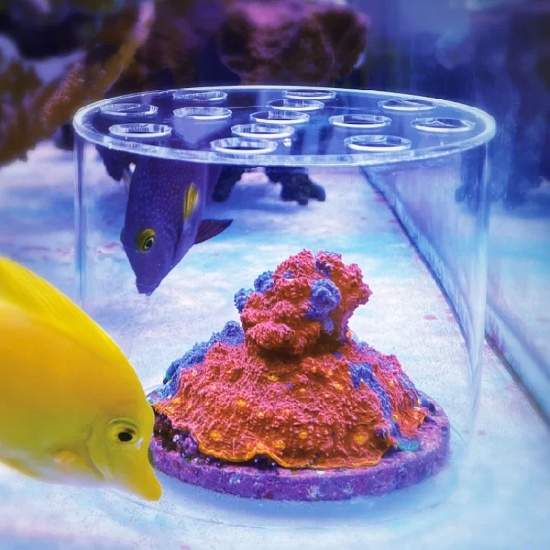 Vastocean Aquarium Arcylic Cor - Aquarium Fish Feeder recension och pris