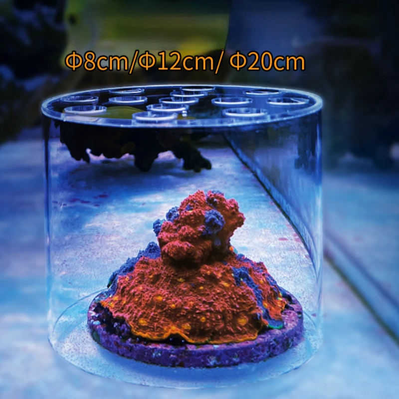Vastocean Aquarium Arcylic Cor - Aquarium Fish Feeder recension och pris
