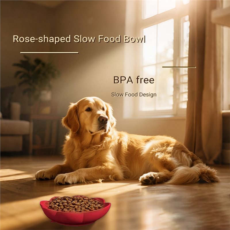 A11E-Pet Supplies Silicone Slo - Royal Canin Food Medium recension och pris
