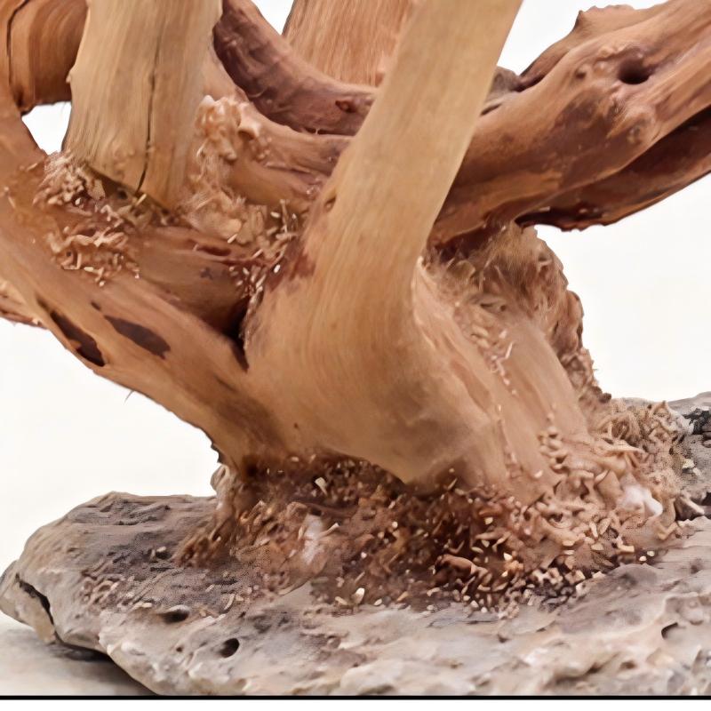 1PC Aquarium Landscaping Wood  - Aquarium Fish Cartoon recension och pris