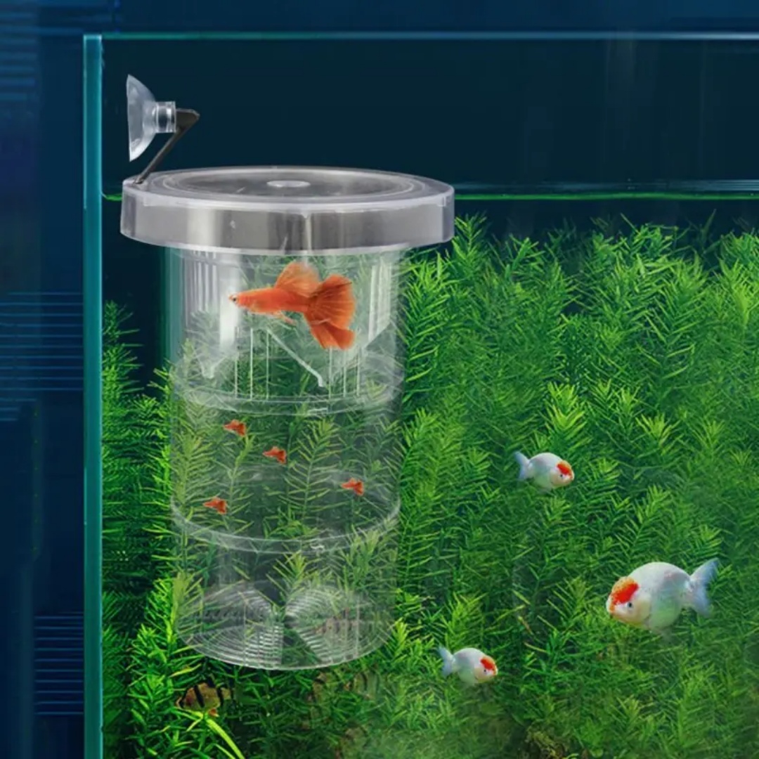 Acrylic Floating Fish Breeding - Aquarium Fish Feeder recension och pris