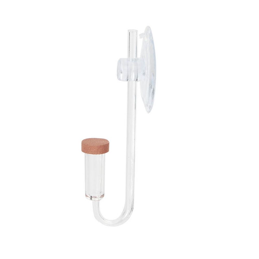 Acrylic Mini Fish Tank Live Pl - Aquarium Mini Fish recension och pris