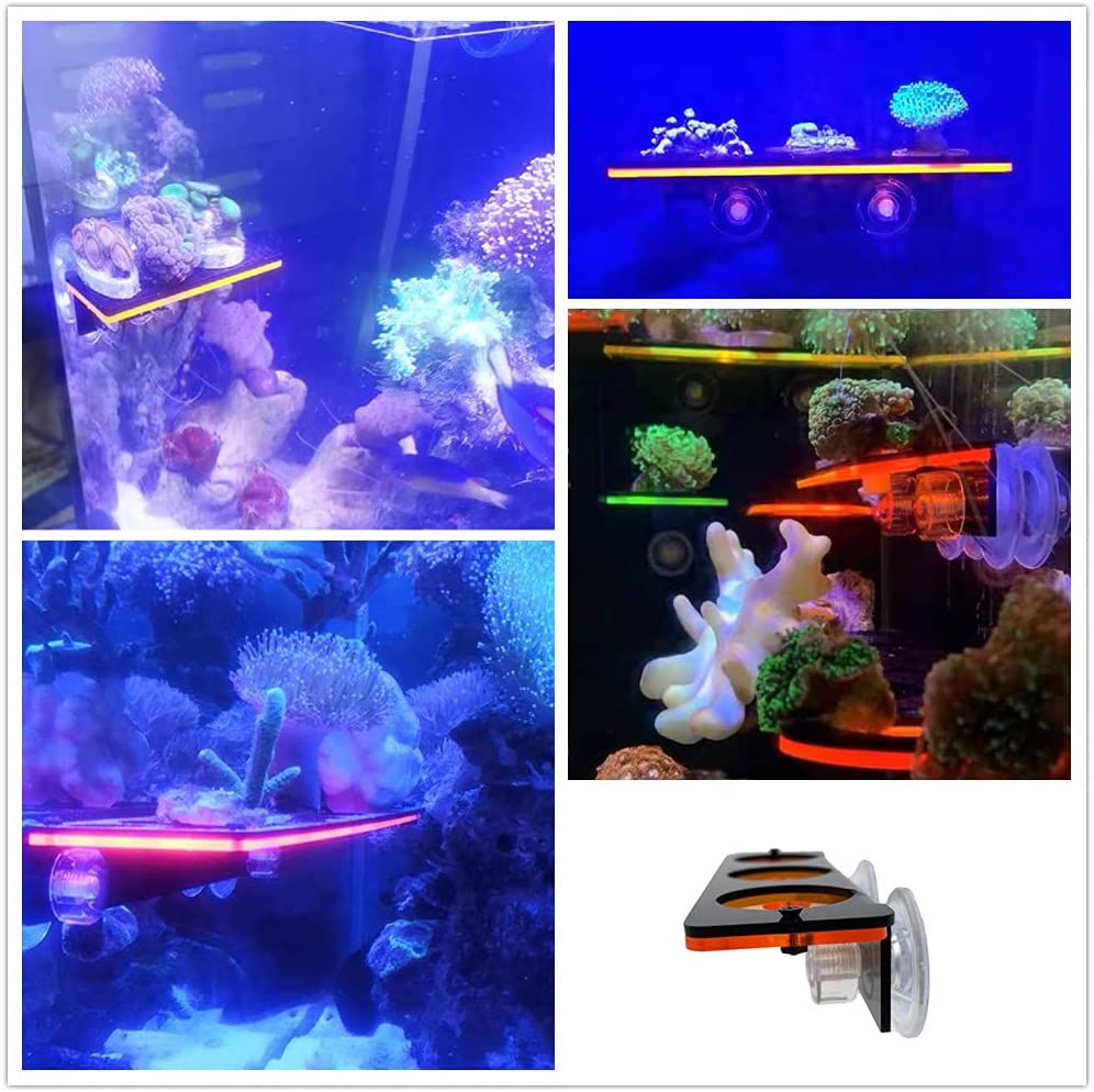 Fluorescent Coral Frag Plug Br - Aquarium Fish Cartoon recension och pris