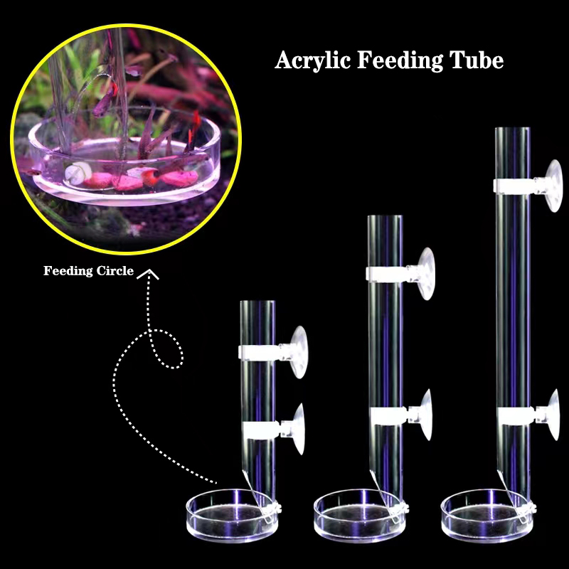 1Pcs Acrylic Aquarium Feeder T - Aquarium Fish Feeder recension och pris