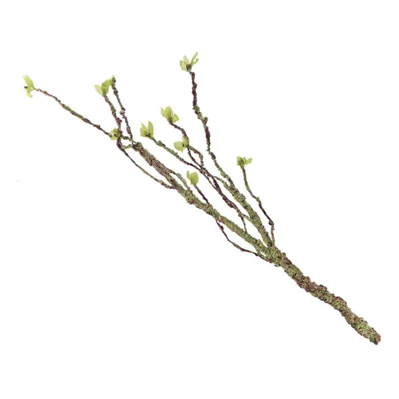 Vines Decor Climbing Branches  - Aquarium Fish Cartoon recension och pris