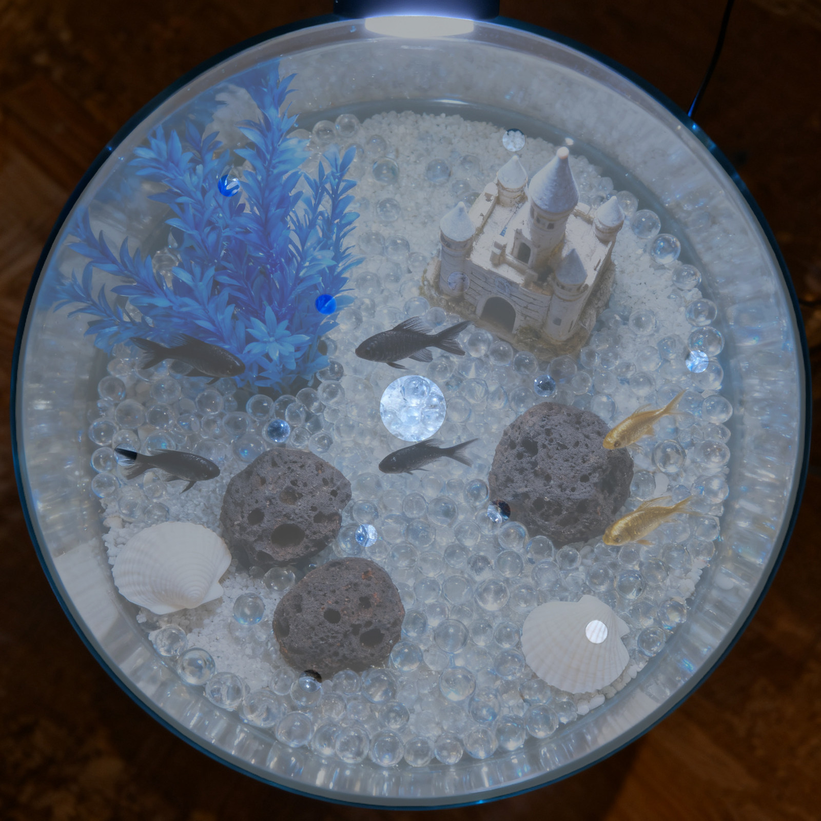 7 Inch Round Acrylic Fish Tank - Aquarium Fish Escape recension och pris