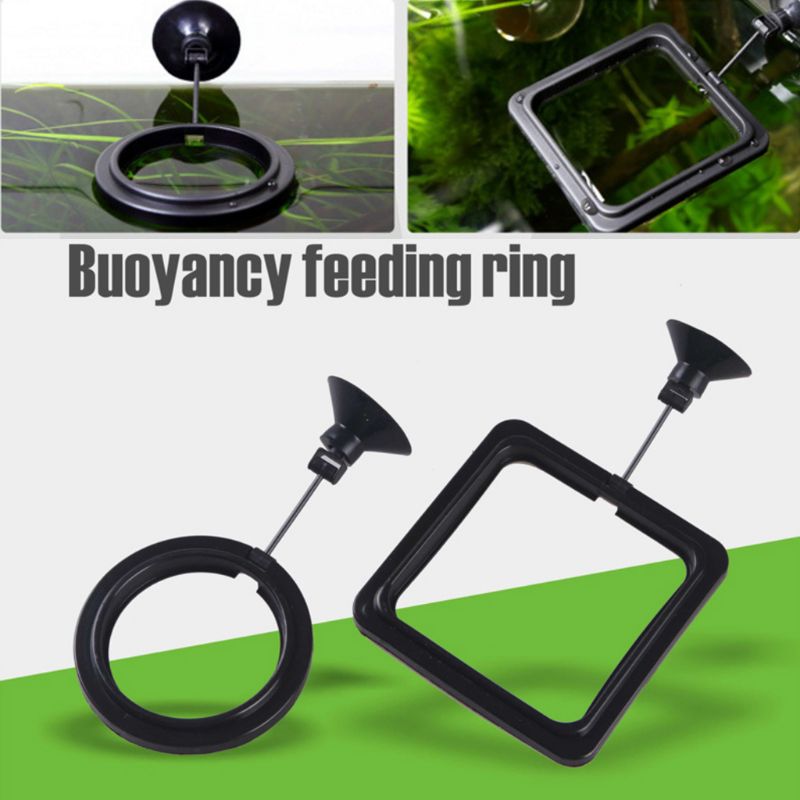 Aquarium Fish Feeding Ring Fis - Aquarium Fish Feeder recension och pris